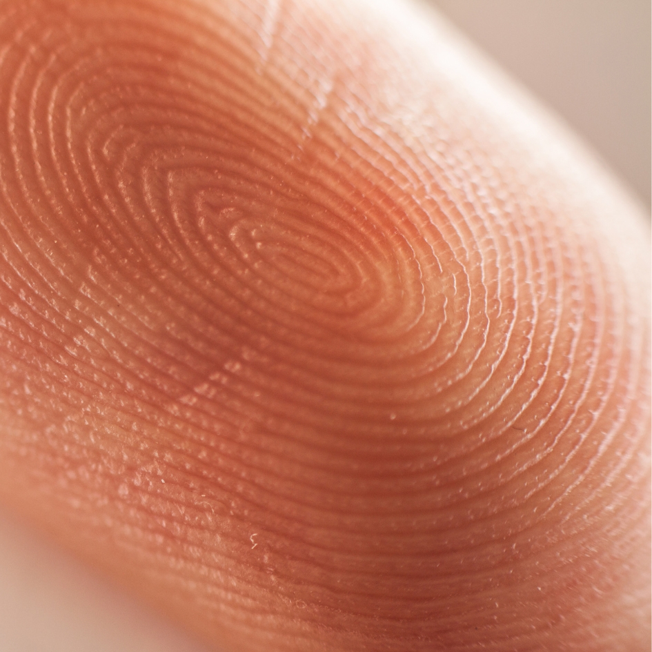 fingerprint