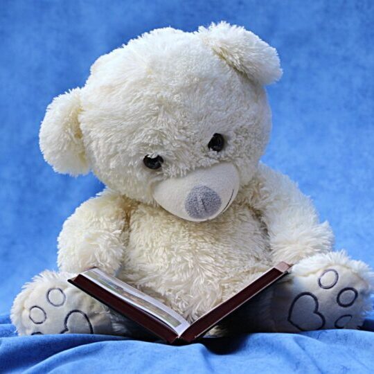 Short Stories Bear reading Short Story