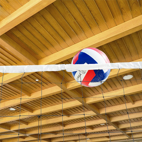 Volleyball on the net