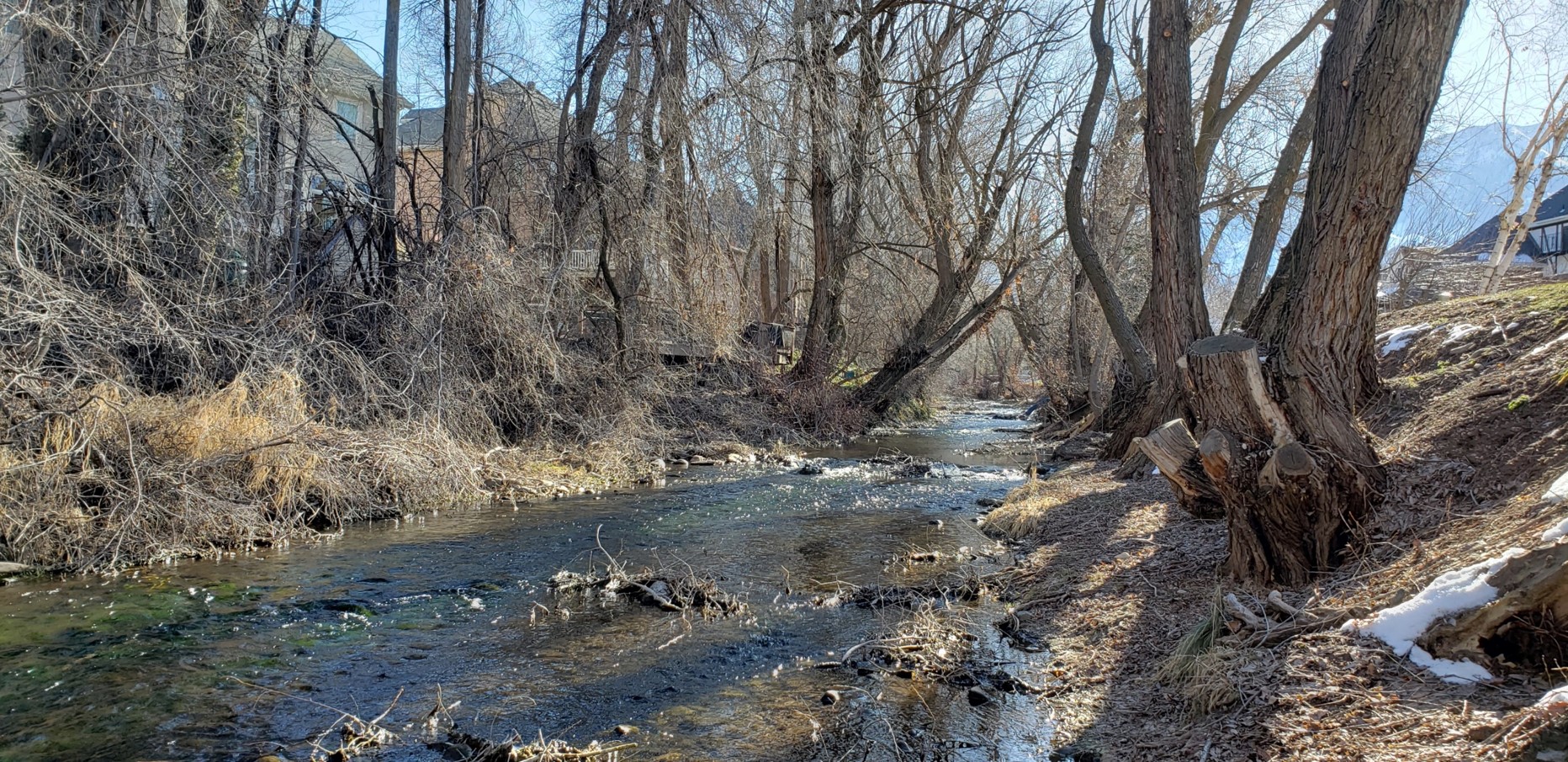 Cleaning Hobble Creek