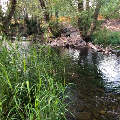 Hobble Creek Snowmelt