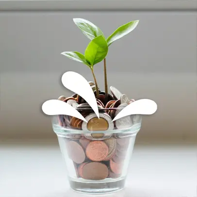 Plant growing from coins