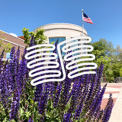 Springville Library